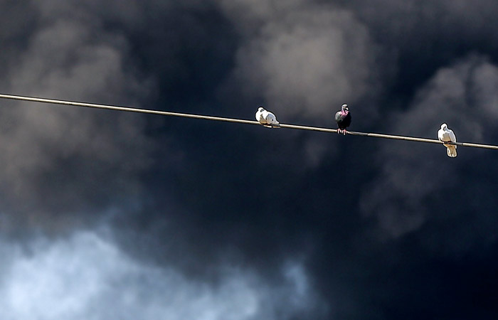 До 15 человек могут находиться внутри горящего бизнес-центра на западе Москвы