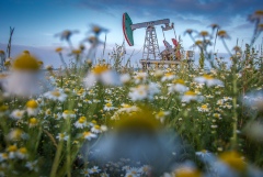 Бюджет РФ в мае получил дополнительно 263,7 млрд руб. нефтегазовых доходов