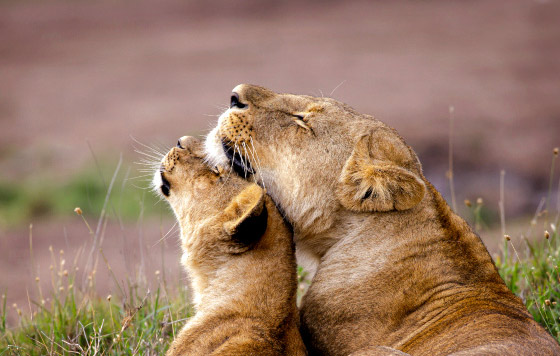 Лучшие фото недели