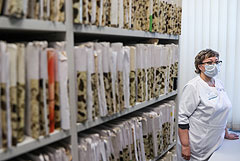 В РФ за сутки COVID-19 заболели минимальные с апреля 2020 года 2,9 тыс. человек