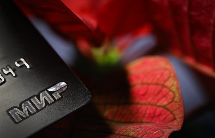 Карты "Мир" могут начать принимать еще в четырех странах