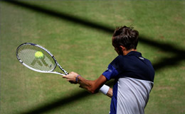 Даниил Медведев вышел в полуфинал турнира в Германии