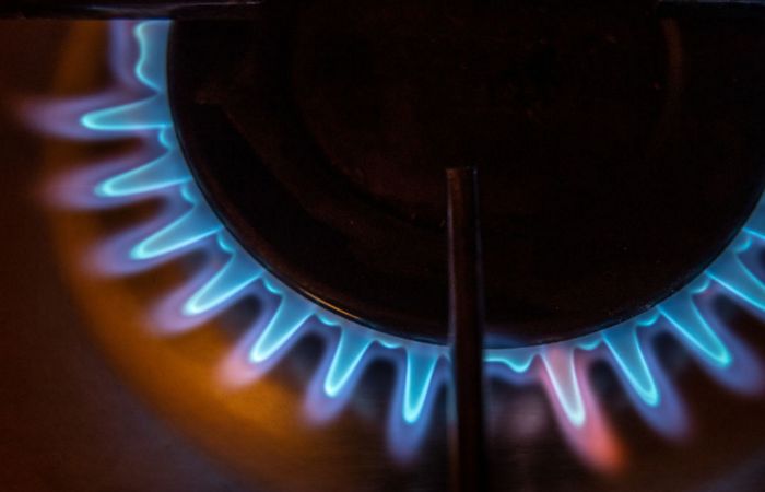 Министр экономики ФРГ заявил о вынужденной экономии газа в Германии