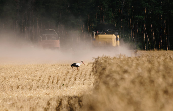 Боррель надеется, что проблема вывоза зерна из Украины будет разрешена при помощи ООН