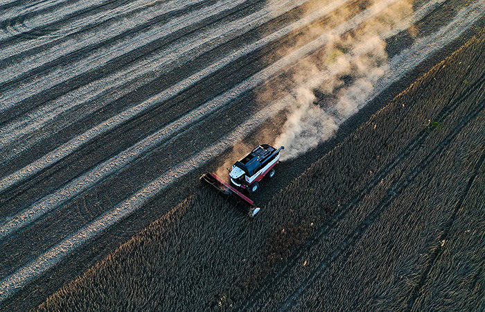 Начало уборки нового урожая обрушило цены на зерно в РФ