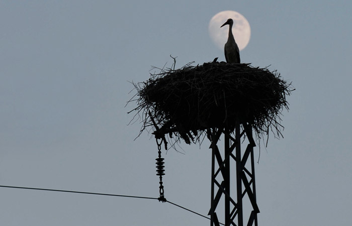 В Думе заявили, что РФ может отключить Литву от общей системы электроснабжения