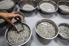 Законопроект о нулевом НДС при продаже природных алмазов принят во II чтении