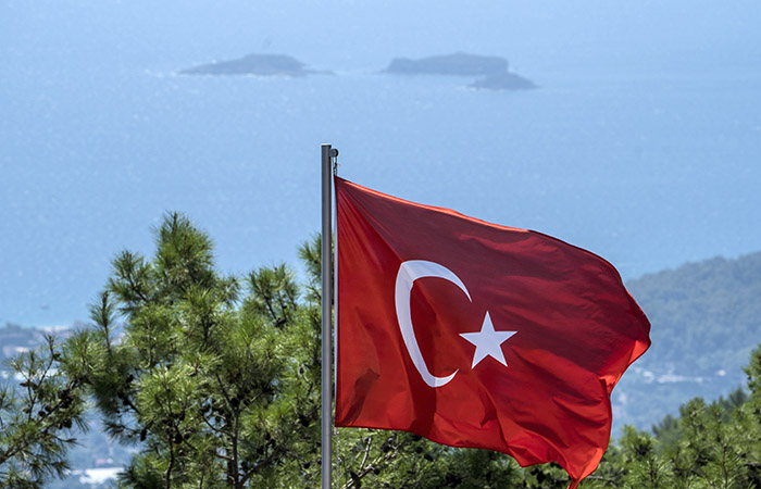 В МИД РФ опровергли информацию о задержании в Турции сухогруза под флагом России
