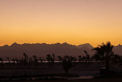 Еще одна женщина погибла в результате нападения акулы в Хургаде