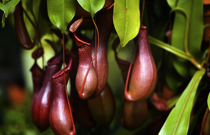 Что произошло в мире науки. Вечерний дайджест