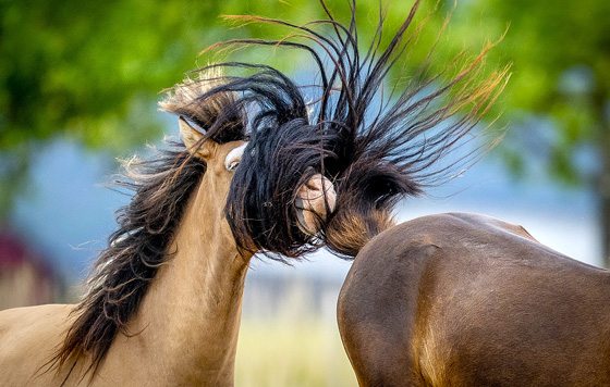 Лучшие фото недели