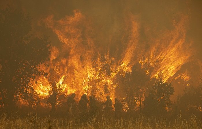 Режим чрезвычайной ситуации введен в Хабаровском крае из-за природных пожаров
