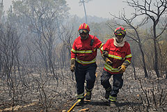ЕС помогает Португалии справиться с лесными пожарами