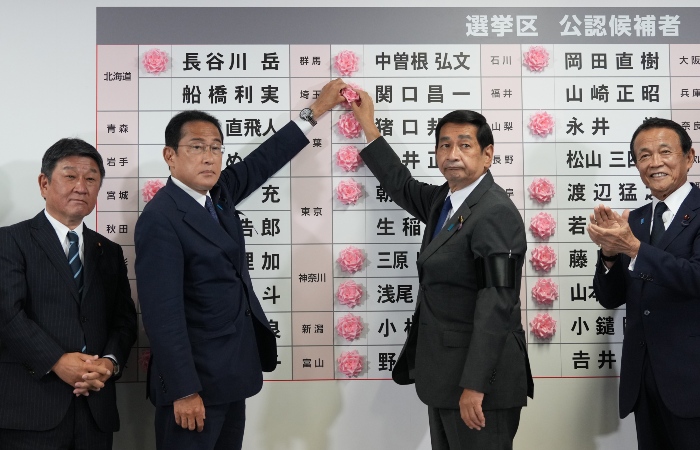 Правящая партия Японии одержала победу на выборах в верхнюю палату парламента