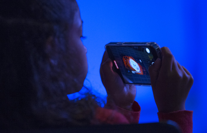 Что произошло в мире науки. Вечерний дайджест