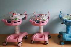 Правительству поручено к 15 сентября подготовить меры по повышению рождаемости