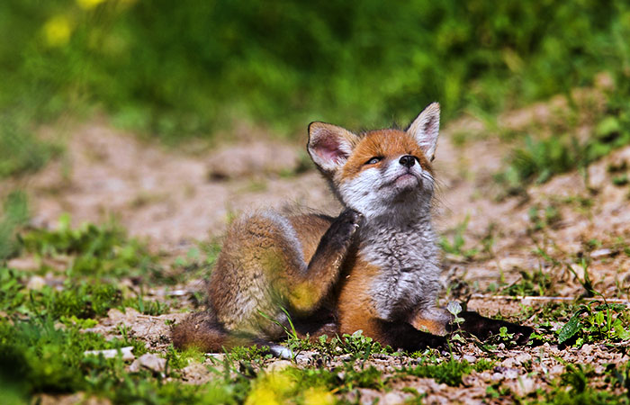Что произошло в мире науки. Вечерний дайджест
