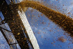 Лавров заявил, что сделка по зерну не помешает РФ продолжить СВО на Украине