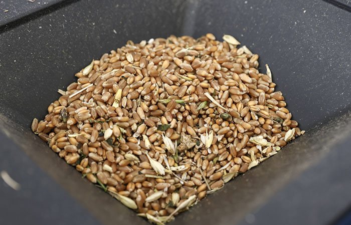 В Зерновом союзе назвали перегретой тему влияния Украины на глобальную продбезопасность