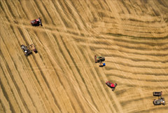 РФ к 28 июля собрала на 11 млн т зерна меньше, чем на аналогичную дату прошлого года