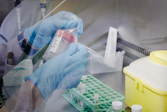 Первый россиянин, заразившийся оспой обезьян, выписан из больницы