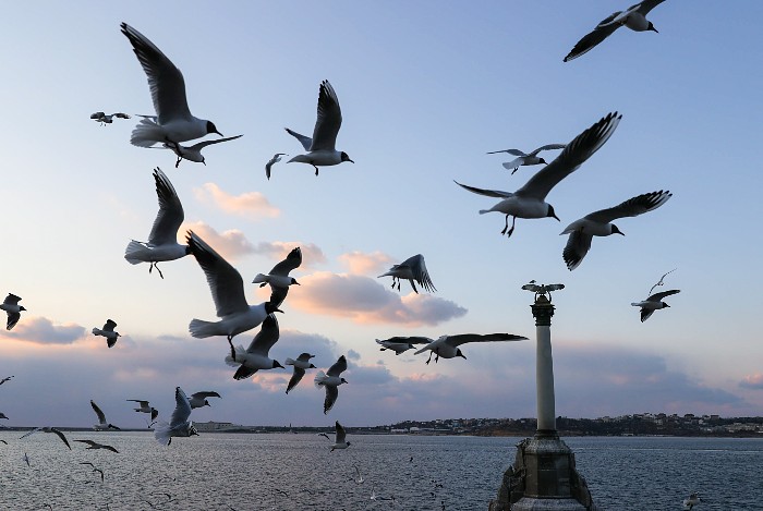 "Желтый" уровень террористической опасности продлен в Севастополе