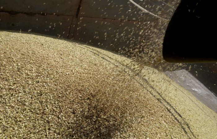 Вышедшее из Украины судно с пшеницей прибыло в Стамбул