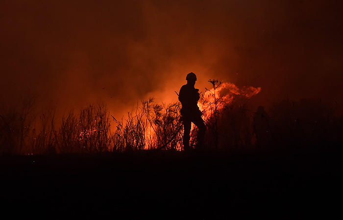 Природные пожары уничтожают в два раза больше лесов в мире, чем 20 лет назад