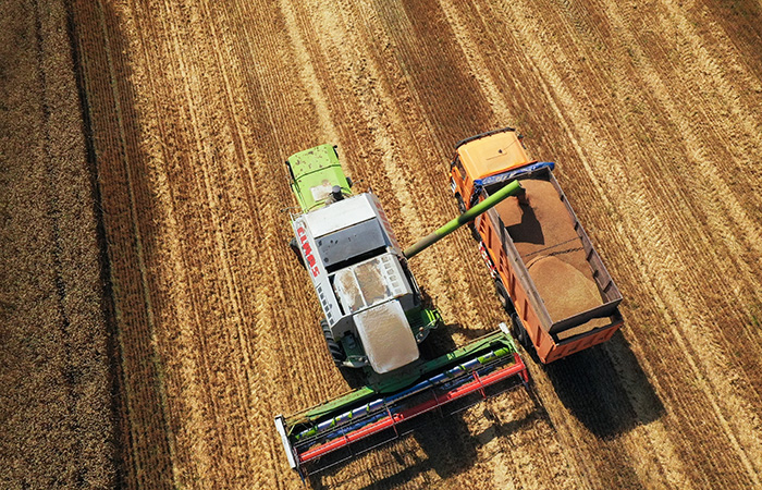 Минсельхоз заявил, что не рассматривает вопрос об отмене экспортной пошлины на зерно