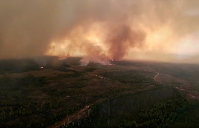 В Рязанской области лесные пожары прошли уже 800 га