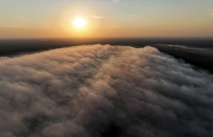 В Рослесхозе обвинили рязанских чиновников в сокрытии реальных масштабов пожаров