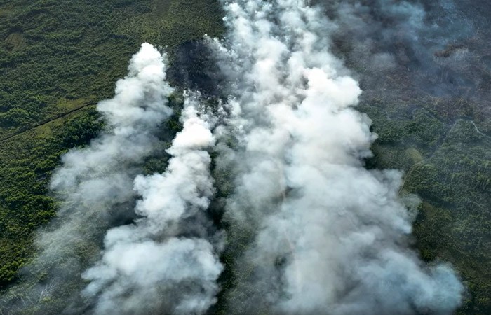 Генпрокуратура поручила провести проверку в связи с пожарами в Рязанской области