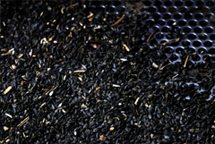 В РФ не будут продлевать запрет на экспорт подсолнечника после 31 августа