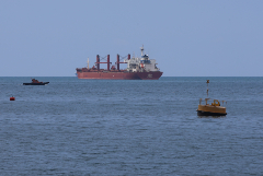 С 1 августа 24 судна вывезли из украинских портов более 597 тыс. тонн продовольствия