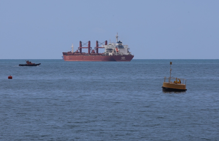С 1 августа 24 судна вывезли из украинских портов более 597 тыс. тонн продовольствия