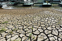 В Китае выпущено первое в году общенациональное предупреждение о засухе