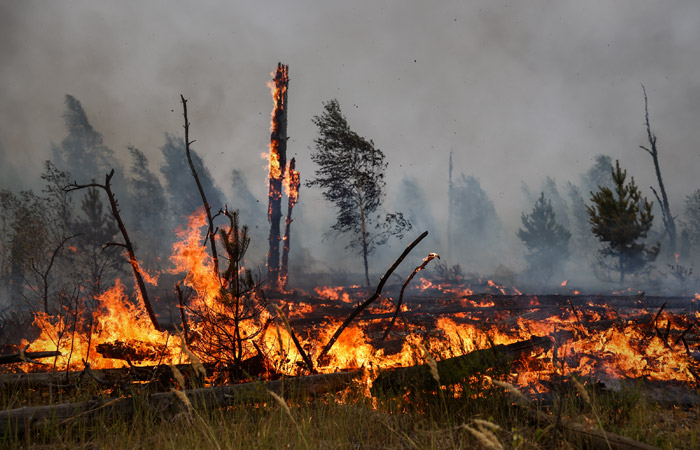 Режим ЧС введен в зоне природного пожара в Нижегородской области