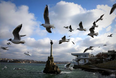 Власти Севастополя планируют организовать патрули из добровольцев