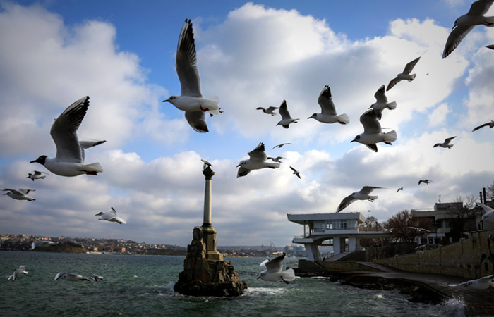 Власти Севастополя планируют организовать патрули из добровольцев