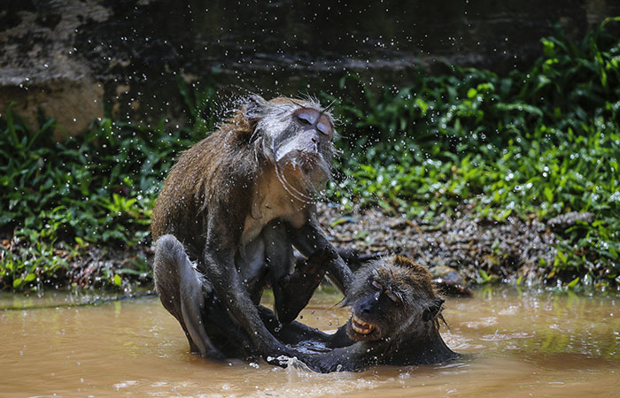 Что произошло в мире науки. Вечерний дайджест