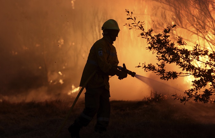 Активные природные пожары в Рязанской области зафиксированы на площади более 180 га