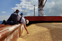 Более 721 тыс. т зерна экспортировано из Украины в рамках черноморской зерновой инициативы