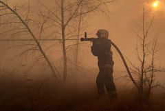 Природный пожар в Нижегородской области локализован