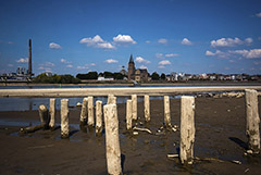 Засуха в Европе может продлиться в течение еще трех месяцев