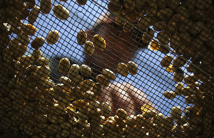 Кофе подорожал до максимума за два месяца из-за засухи в Бразилии