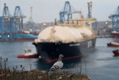 Болгария всерьез задумалась о возобновлении приема газа "Газпрома"