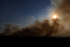 МЧС сообщило о ликвидации верховых лесных пожаров под Рязанью
