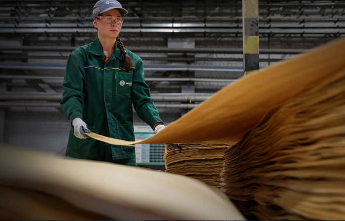 В Segezha допустили исключение фанеры из-под санкций Евросоюза