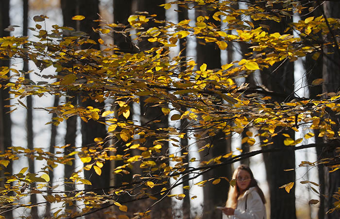Москвичам посоветовали не ждать бабьего лета в начале сентября