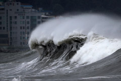 Сотни авиарейсов отменили в Южной Корее из-за тайфуна